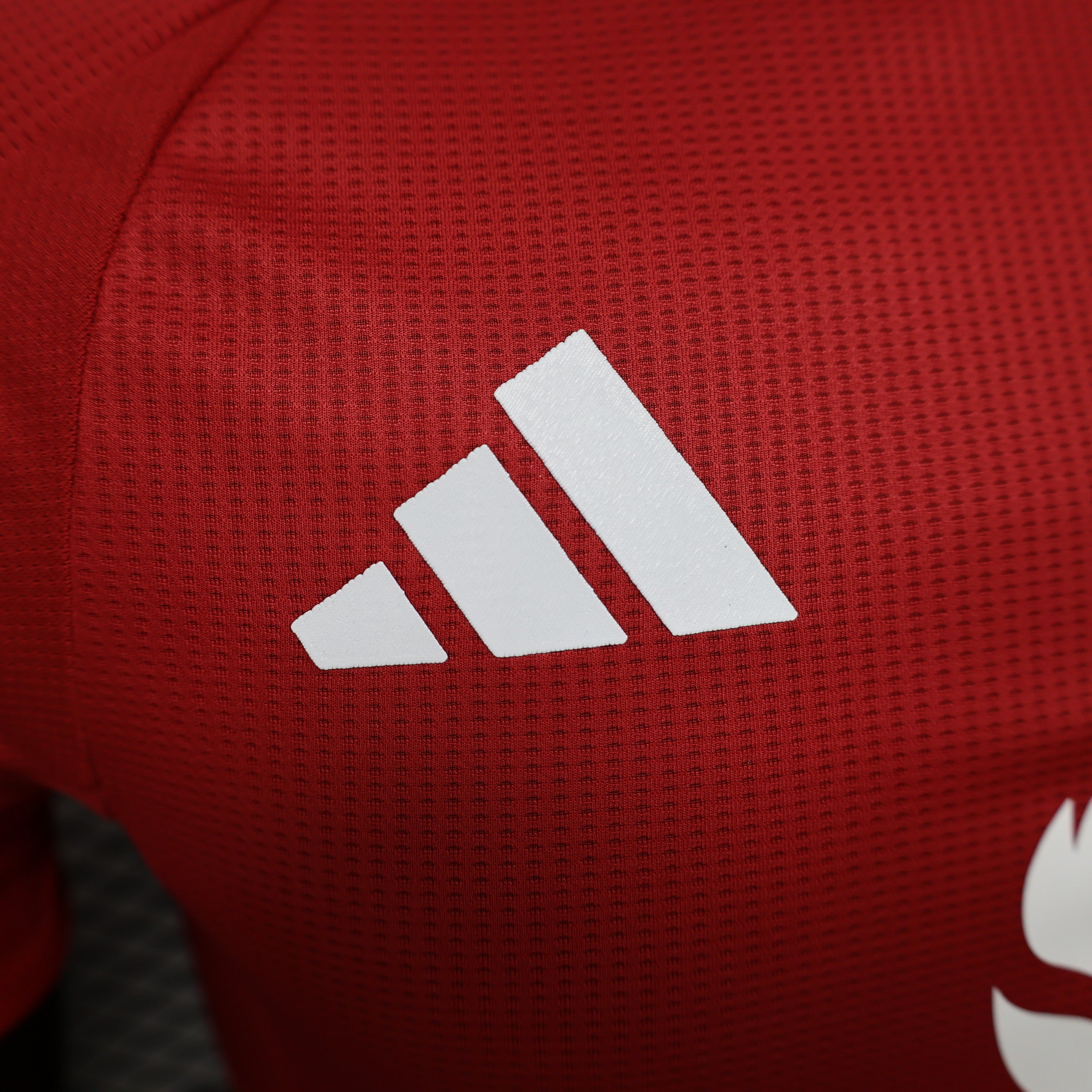 MAILLOT MANCHESTER UNITED DOMICILE 2024/2025