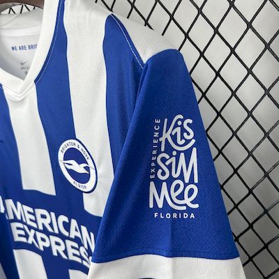 Brighton & Hove Albion Entraînement/Loisir Maillot de foot 2015 Brighton & Hove Albion Entraînement/Loisir Maillot de foot 2015
