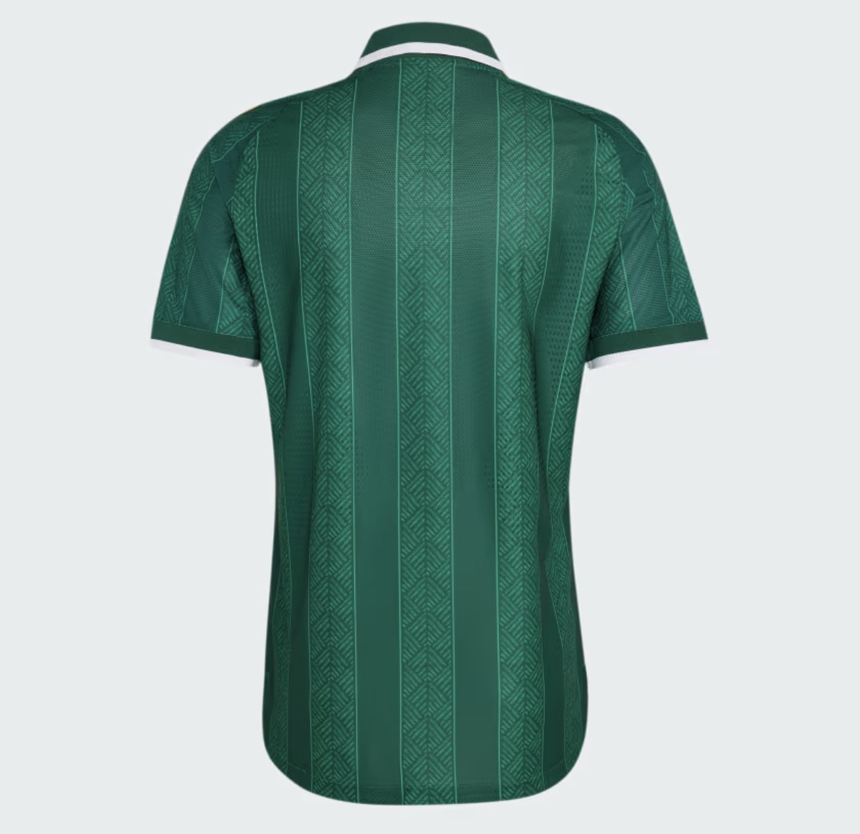 MAILLOT AFRIQUE DU SUD EXTÉRIEUR COUPE DU MONDE 2026