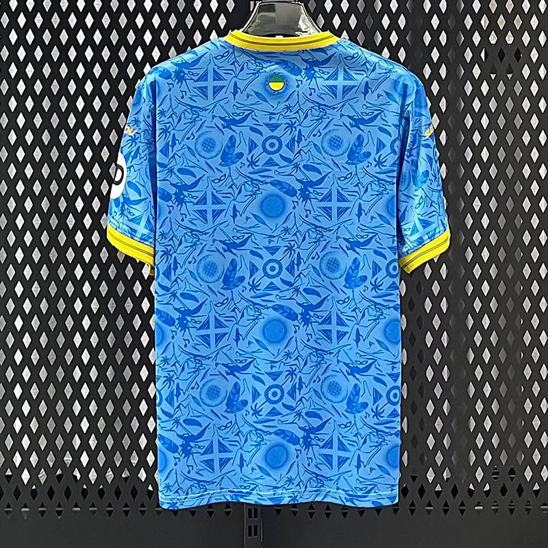 MAILLOT WOLVES EXTÉRIEUR 2025/2026