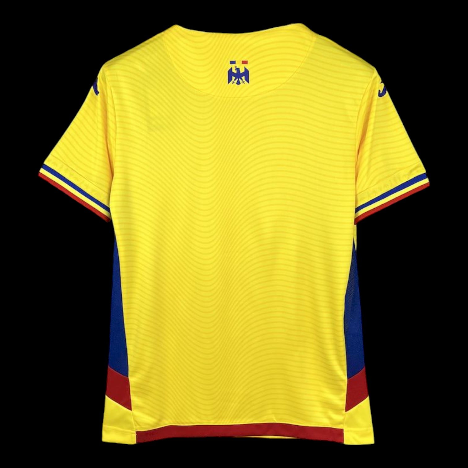 Roumanie Maillot Domicile 25/26
