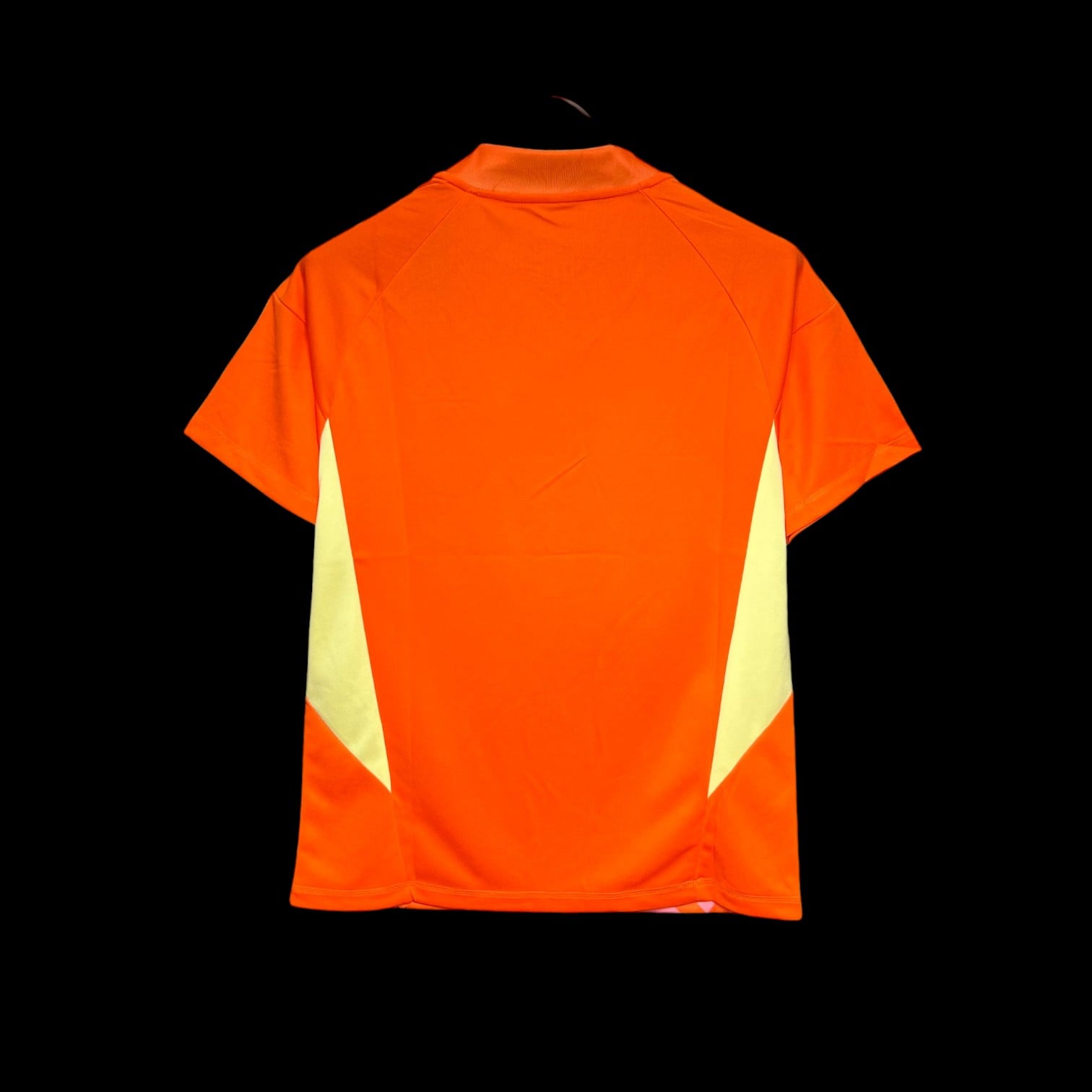 Italie Maillot Gardien 24/25