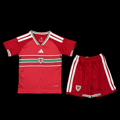 MAILLOT ENFANT PAYS DE GALLES DOMICILE COUPE DU MONDE 2026