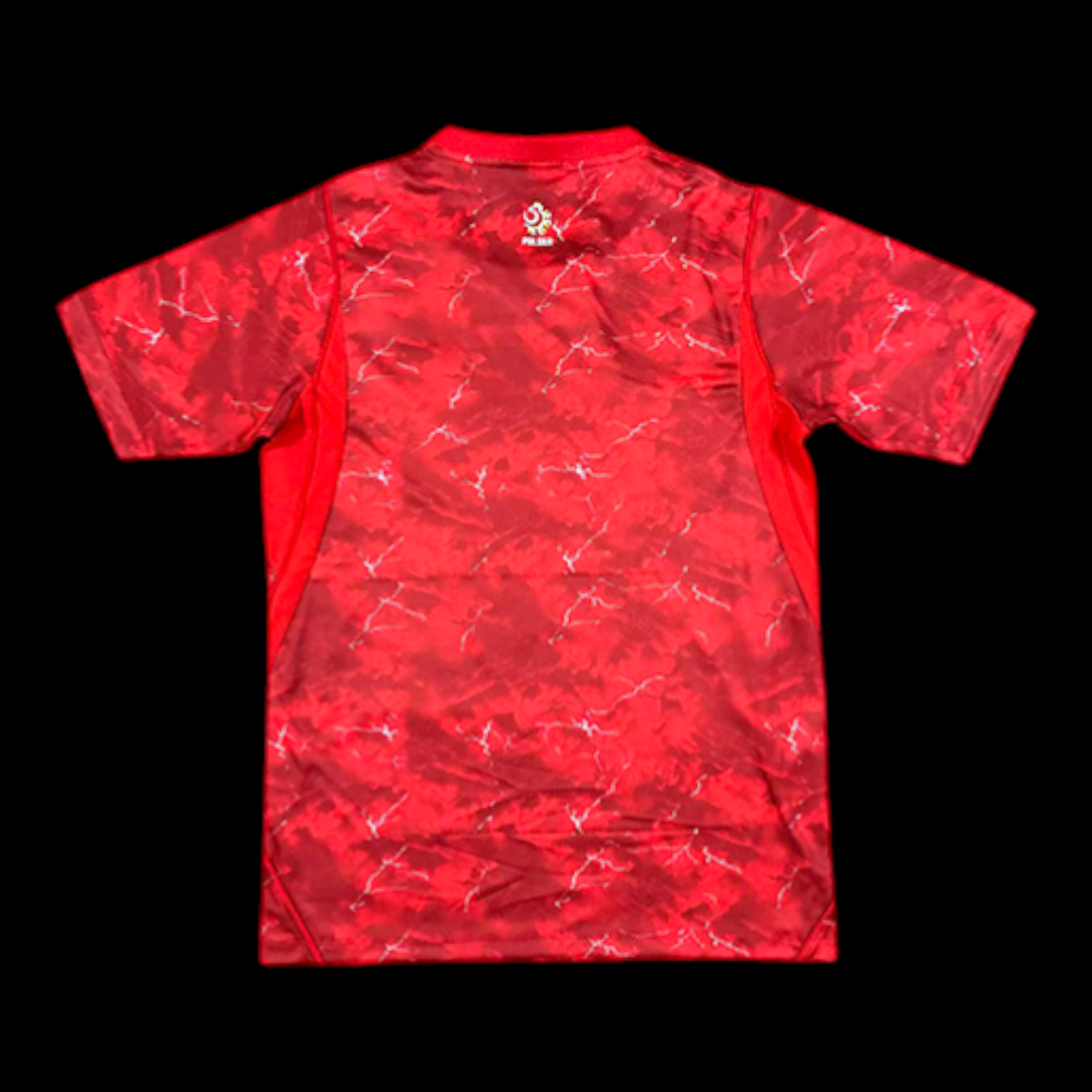 Pologne Maillot Extérieur 26/27