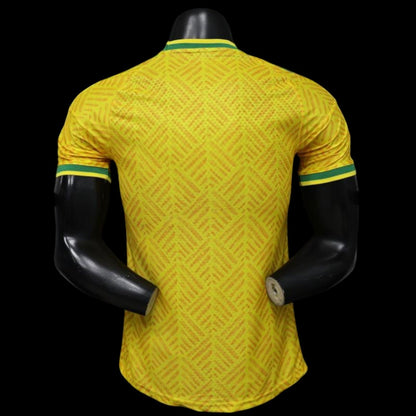 Afrique du sud Maillot Domicile 26/27 – Version Player
