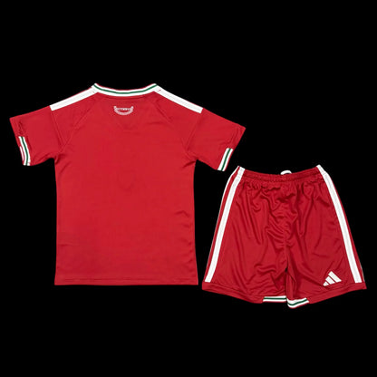 MAILLOT ENFANT PAYS DE GALLES DOMICILE COUPE DU MONDE 2026
