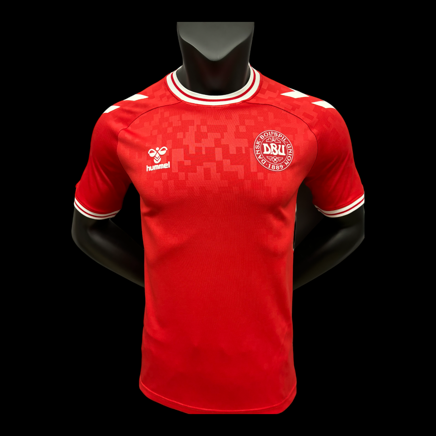 Danemark Maillot Domicile 24/25 – Version Player