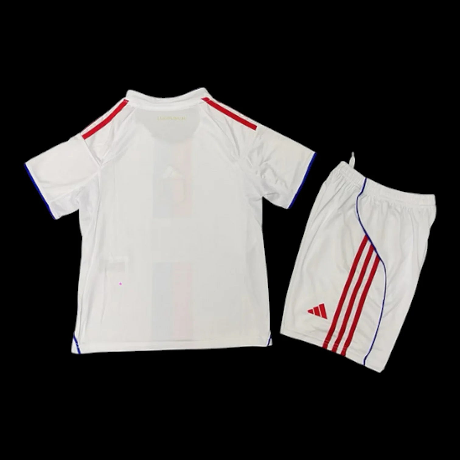 MAILLOT ENFANT OLYMPIQUE LYONNAIS DOMICILE 2025/2026
