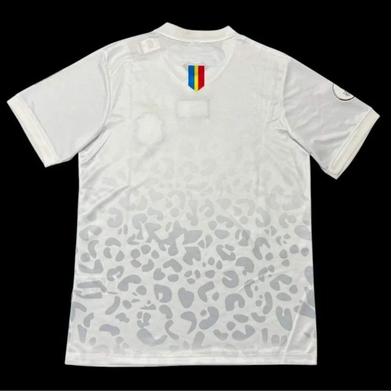 DR Congo Maillot Extérieur CDM 26