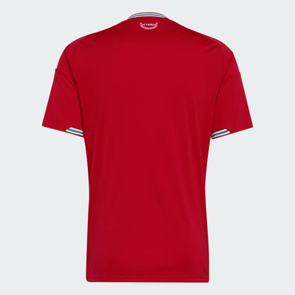 MAILLOT PAYS DE GALLES DOMICILE COUPE DU MONDE 2026