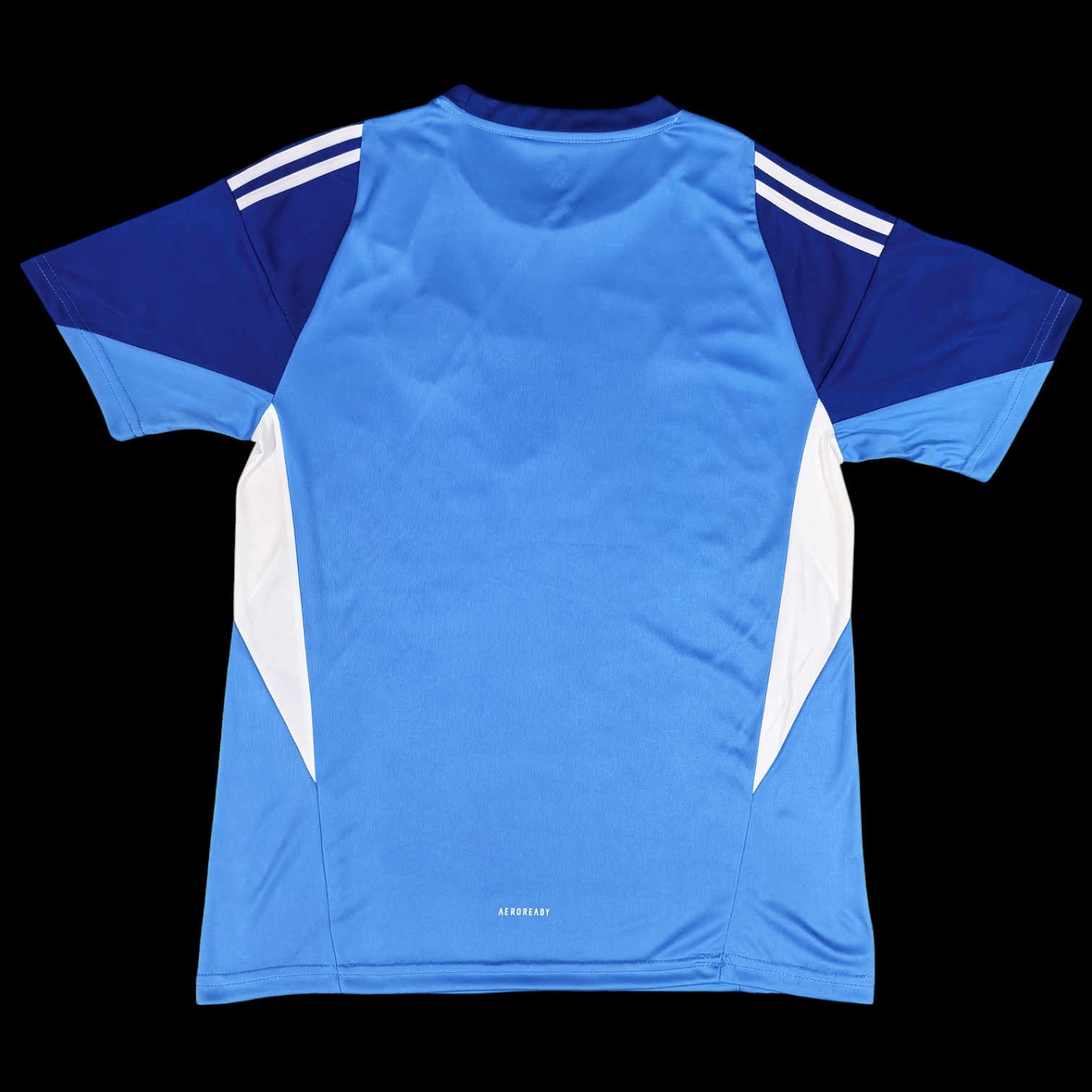 Manchester United Maillot Gardien 25/26