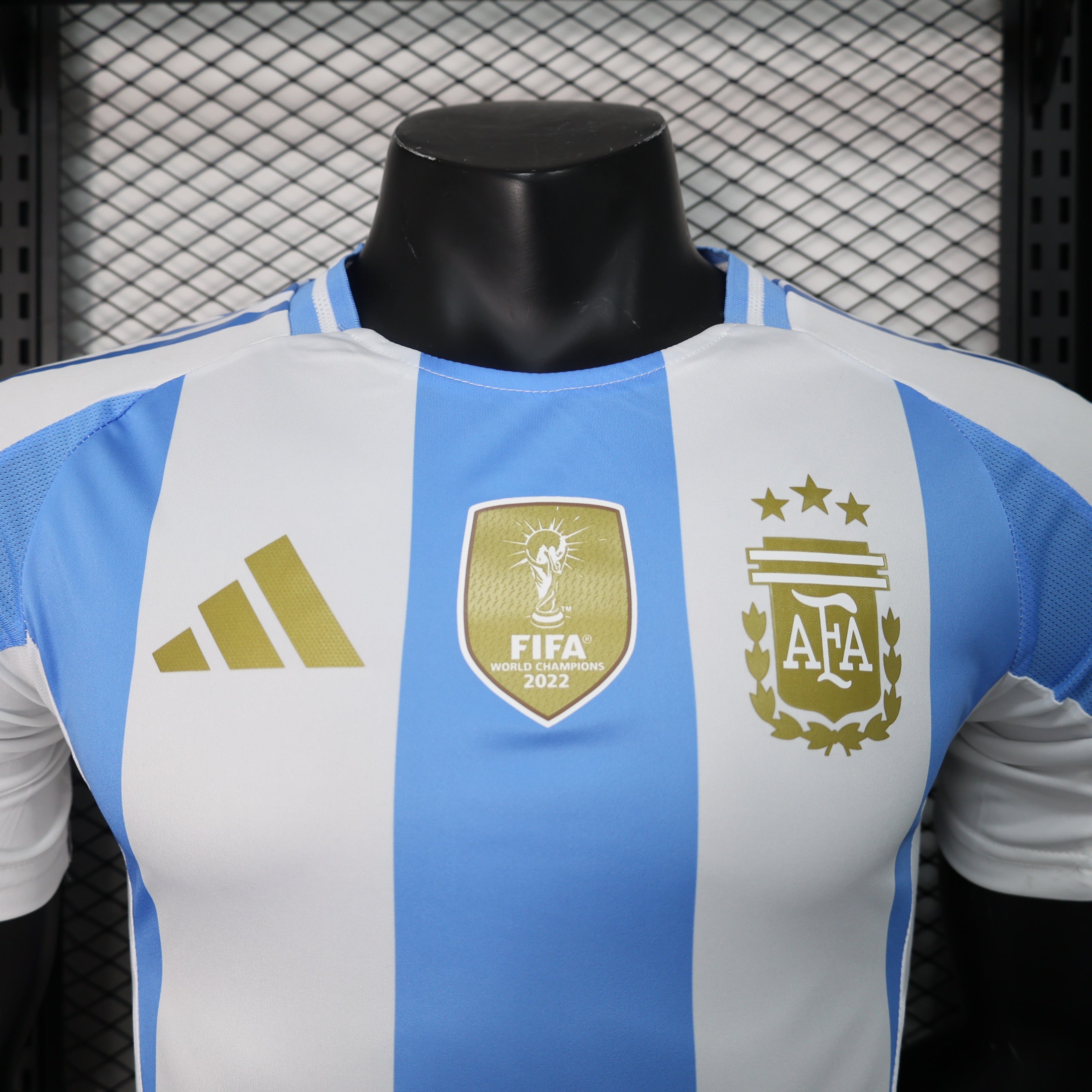 MAILLOT ARGENTINE DOMICILE 2024/2025