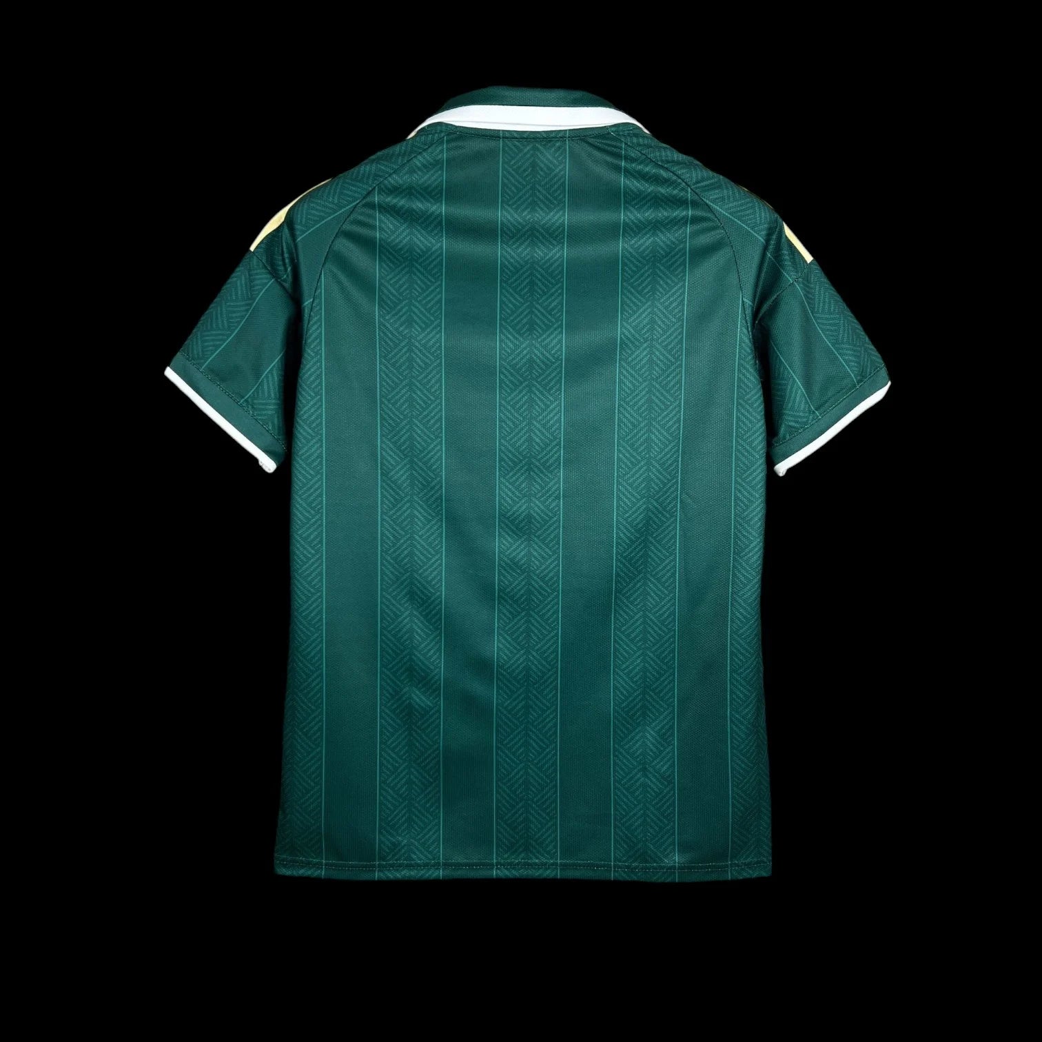 Afrique du sud Maillot Extérieur CDM 26