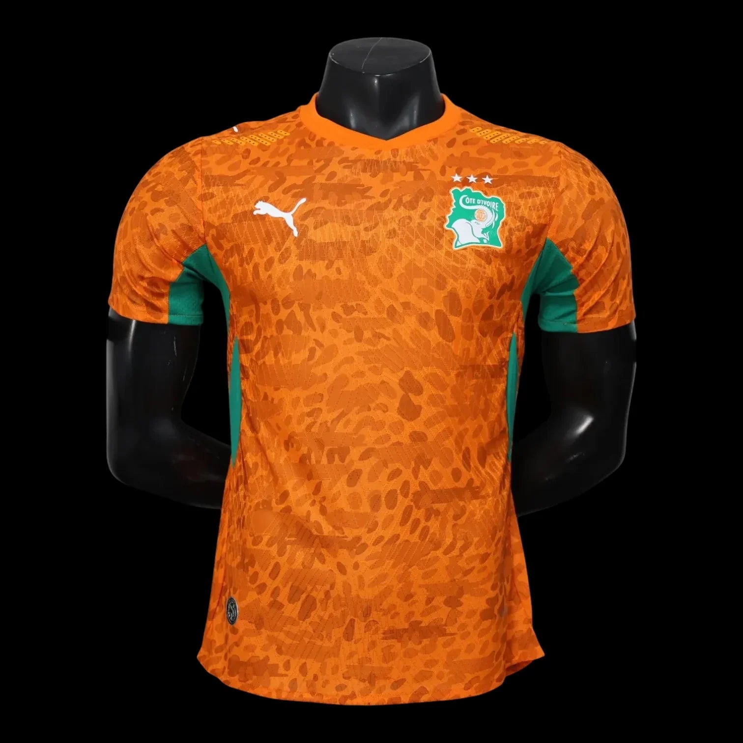 Cote d’Ivoire Maillot Domicile CDM 26 – Version Player