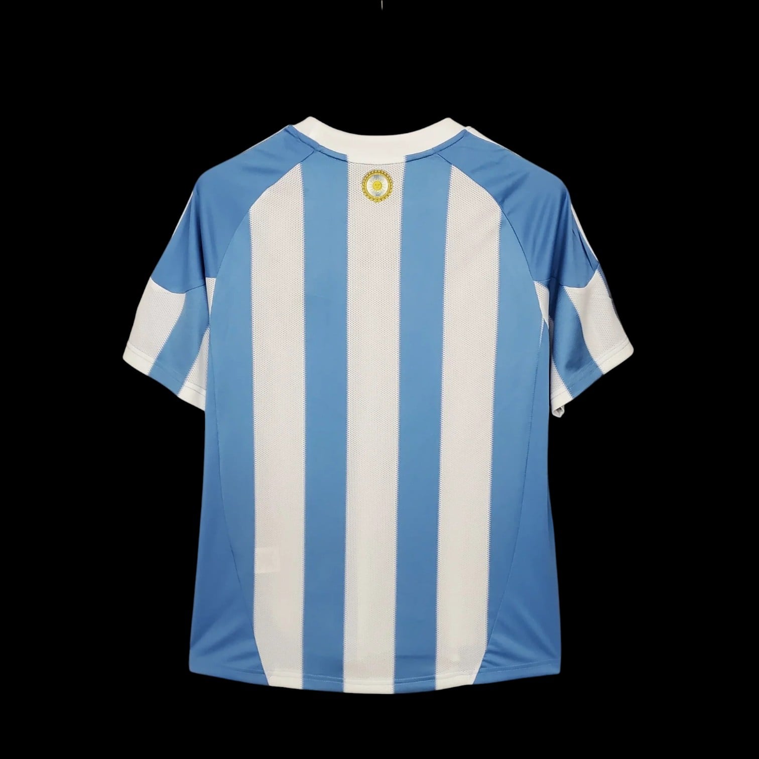 Argentine Maillot Rétro 2010