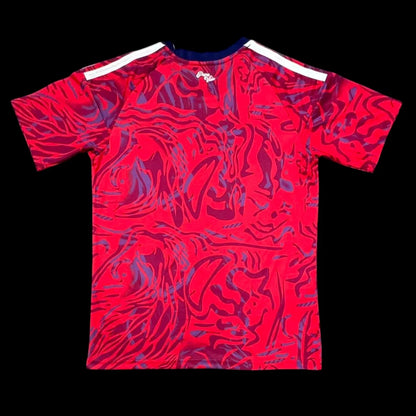 Costa Rica Maillot Domicile CDM 26